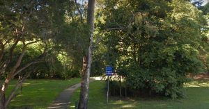 Toohey Forest