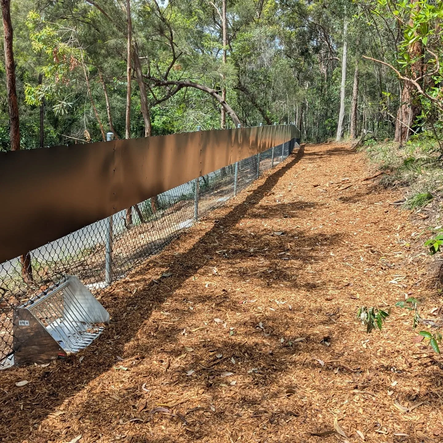 habitat connectivity
