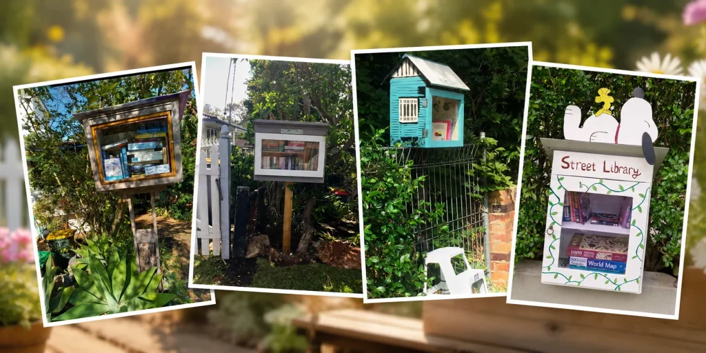 Tarragindi street libraries 