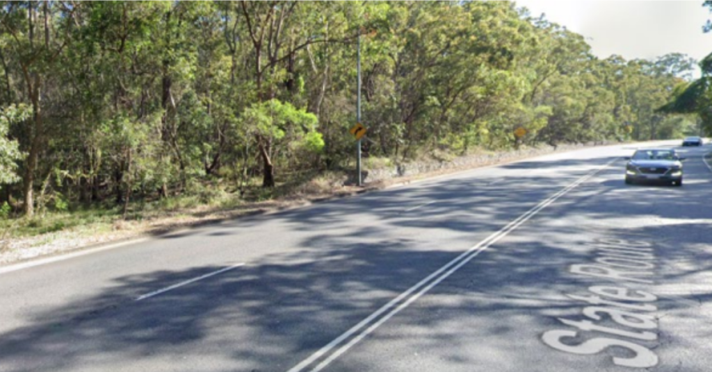 Toohey Forest