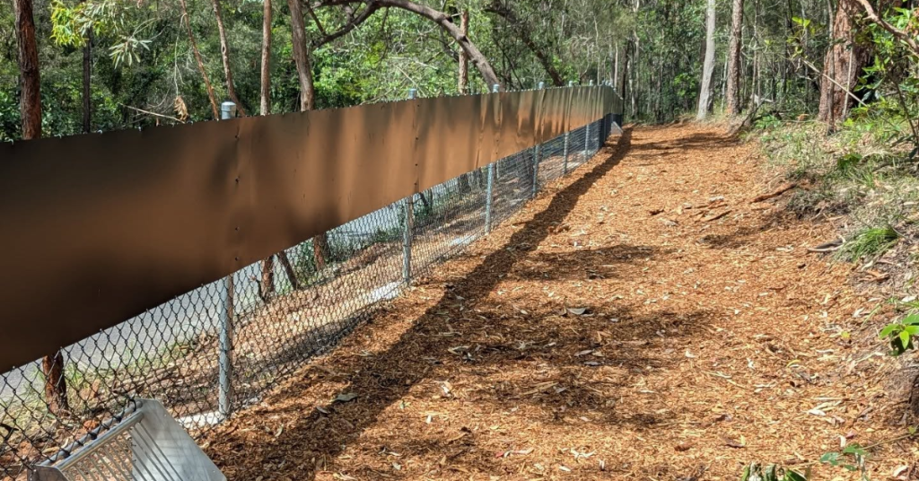 Toohey Forest
